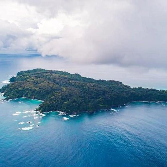 Cabinas Manolo Drake Bay, Ocean And Forest View 외부 사진